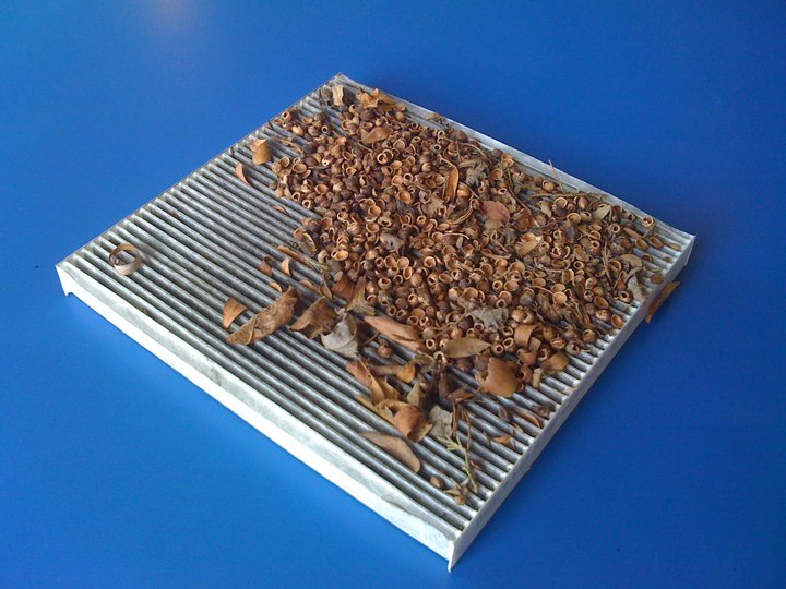 Car Care 101 - What is a Cabin Air Filter?